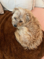 /album/04-12-20251/afbeelding-van-whatsapp-op-2025-11-09-om-10-50-57-d44e4735-jpg/